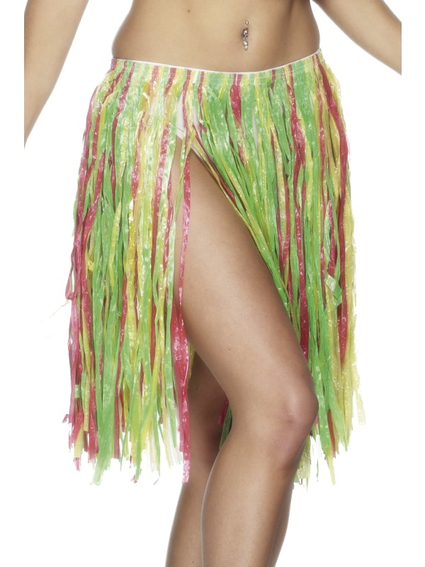 Bevriezen lijden paneel Hawaii Hula Skirt Multi Gekleurd snel thuis bezorgd!