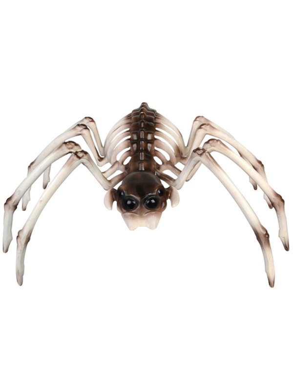 Spider Skeleton Decoratie