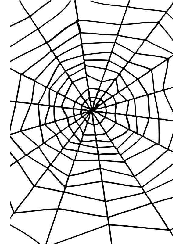 Zwart Spinnenweb met Spin Halloween Versiering